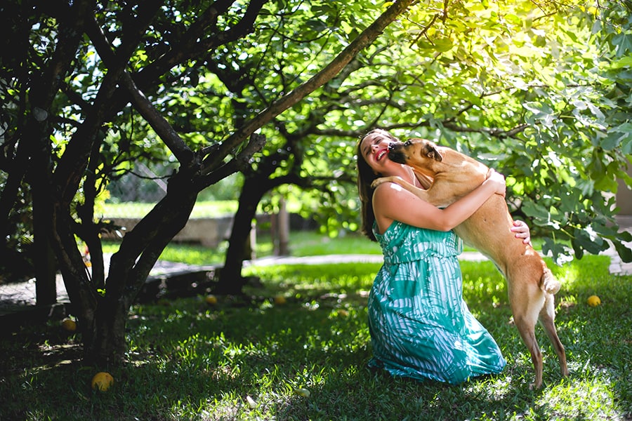 Maternity - Picture 13